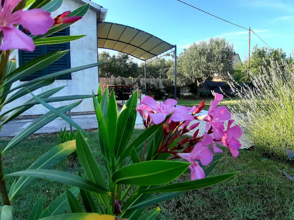 Holiday Home Vila Emma Debeljak Exterior foto
