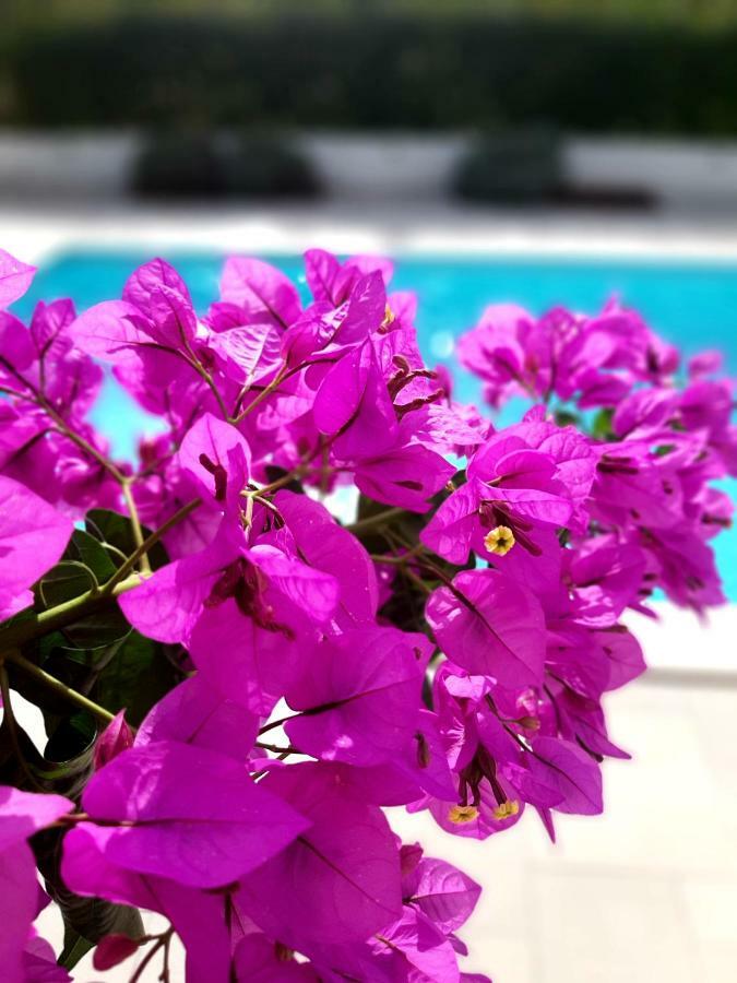 Holiday Home Vila Emma Debeljak Exterior foto